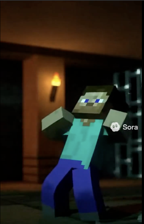 Sora example 6